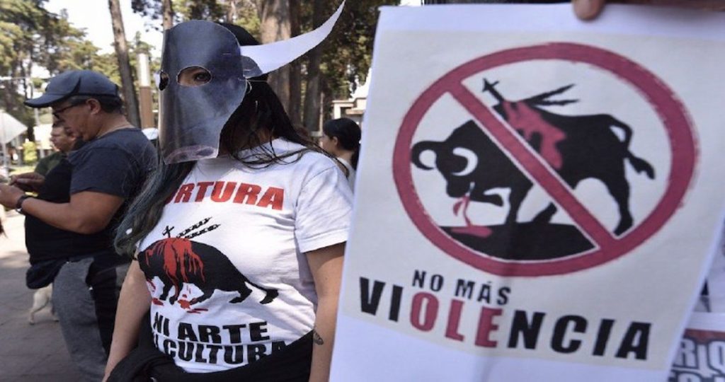 SCJN determinó que las corridas de toros y peleas de gallos no son patrimonio cultural inmaterial