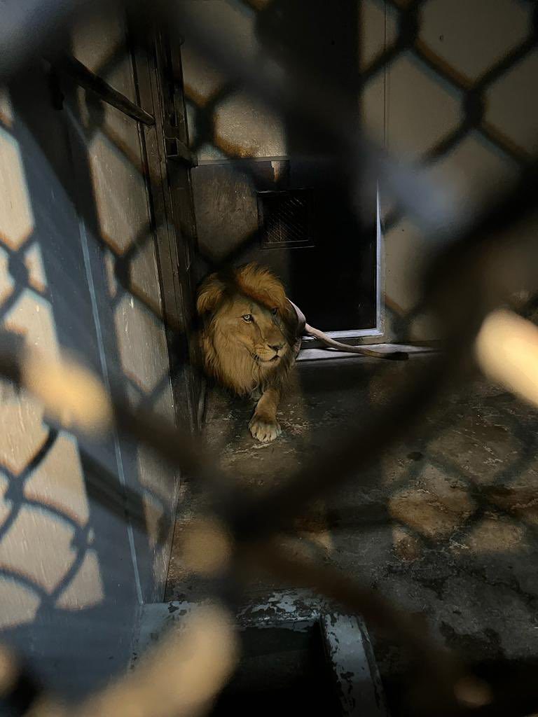 zoológico de Chapultepec